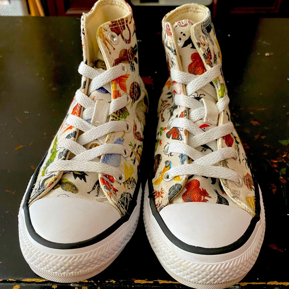 Animal kingdom converse chuck taylor hi tops size 13 yth. In like new condition